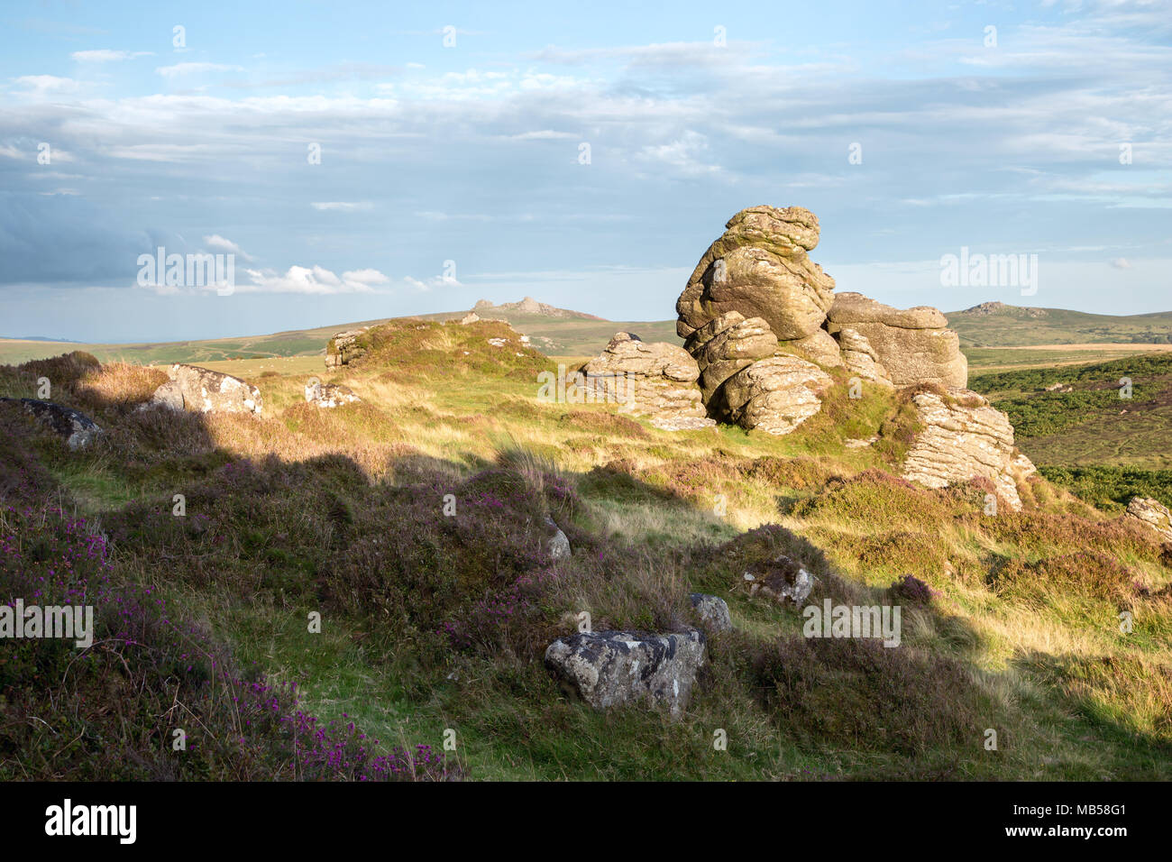 La lumière de fin de soirée sur Honeybag tor Dartmoor National Park Devon Uk Banque D'Images La lumière de fin de soirée sur Honeybag tor Dartmoor National Park Devon Uk Banque D'Images