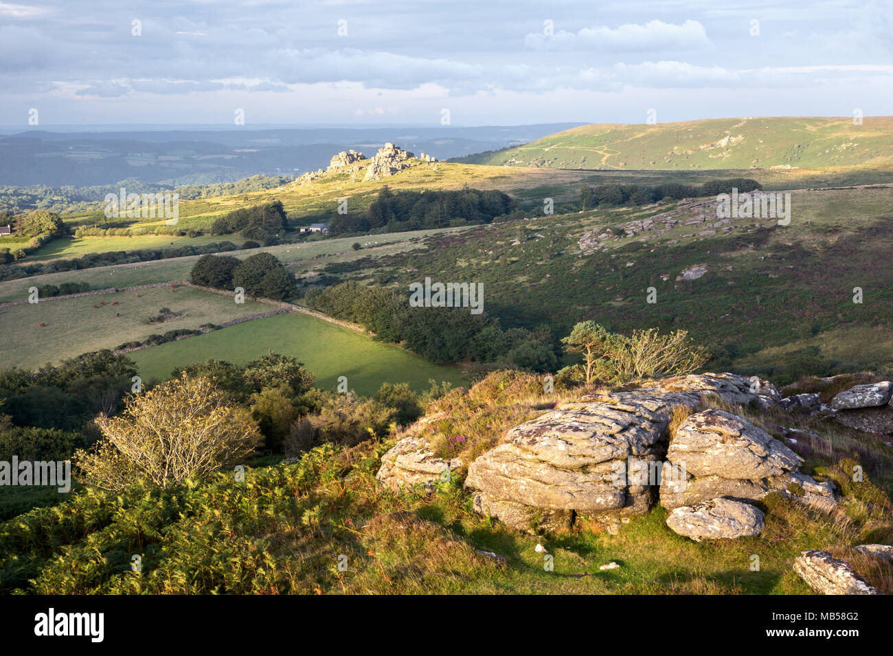 Début de la lumière du matin sur Honeybag tor avec vues vers Hound tor Dartmoor National Park Devon Uk Banque D'Images Début de la lumière du matin sur Honeybag tor avec vues vers Hound tor Dartmoor National Park Devon Uk Banque D'Images