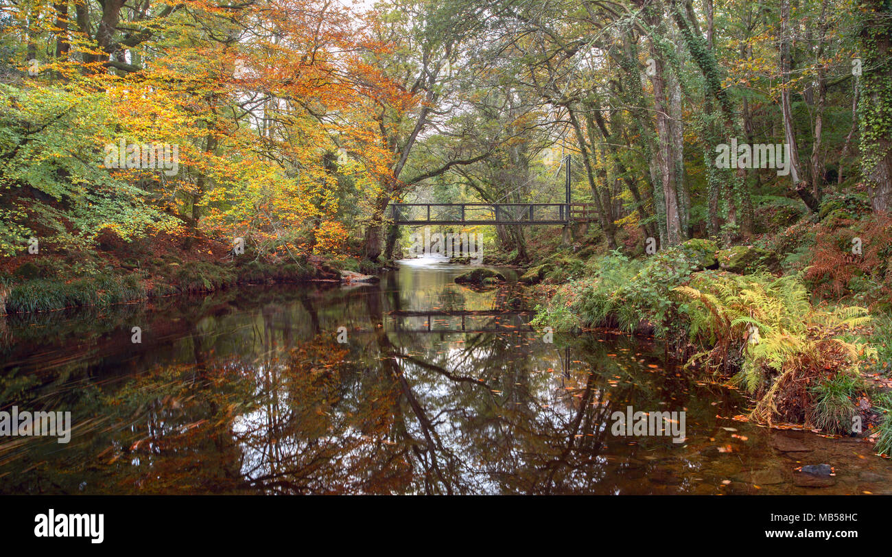 L'automne le long de la rivière Teign près de Devon Drewsteignton Uk Banque D'Images L'automne le long de la rivière Teign près de Devon Drewsteignton Uk Banque D'Images