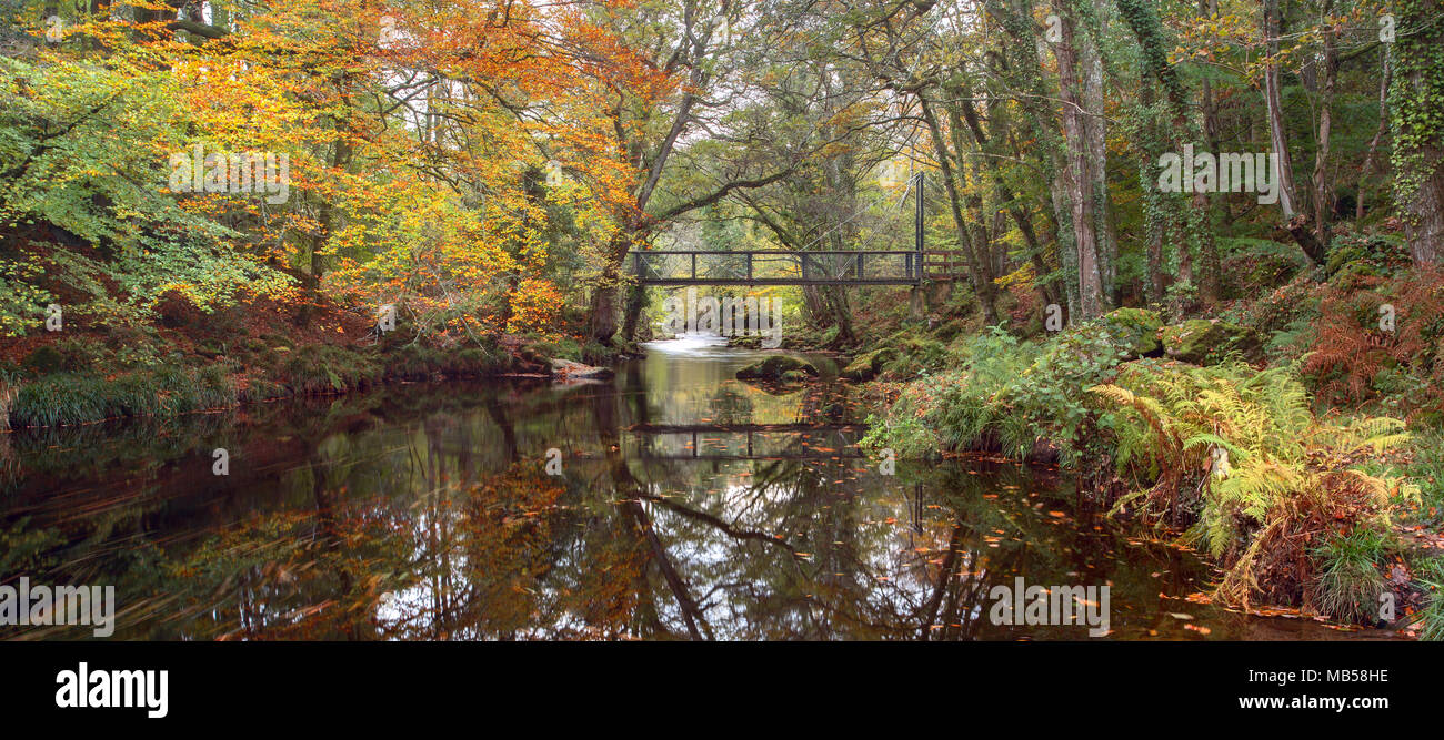 L'automne le long de la rivière Teign près de Devon Drewsteignton Uk Banque D'Images L'automne le long de la rivière Teign près de Devon Drewsteignton Uk Banque D'Images