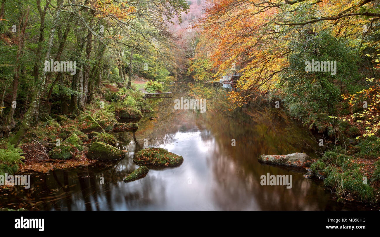 L'automne le long de la rivière Teign près de Devon Drewsteignton Uk Banque D'Images L'automne le long de la rivière Teign près de Devon Drewsteignton Uk Banque D'Images