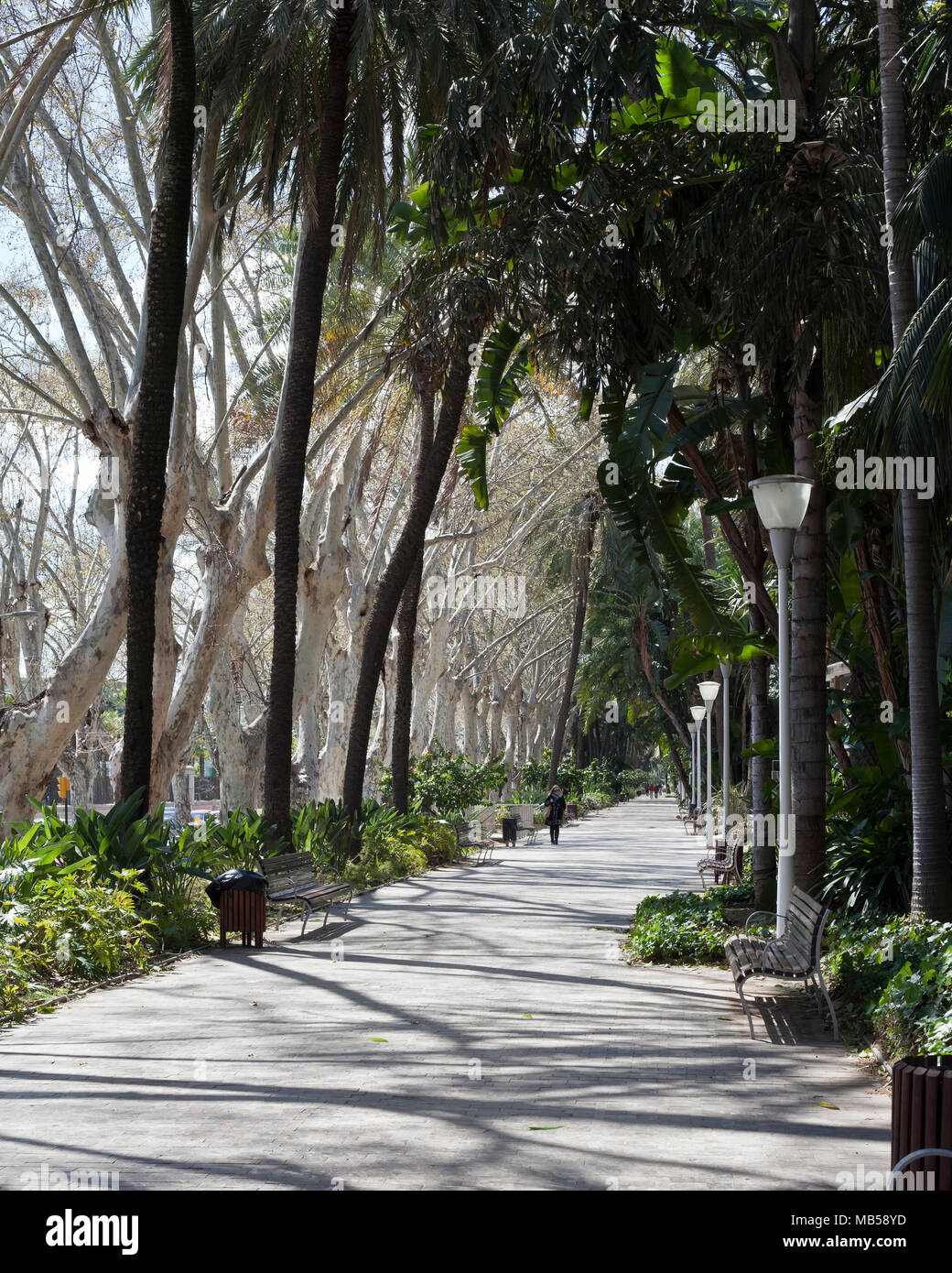 Parque de Málaga, Andalousie, Espagne Banque D'Images