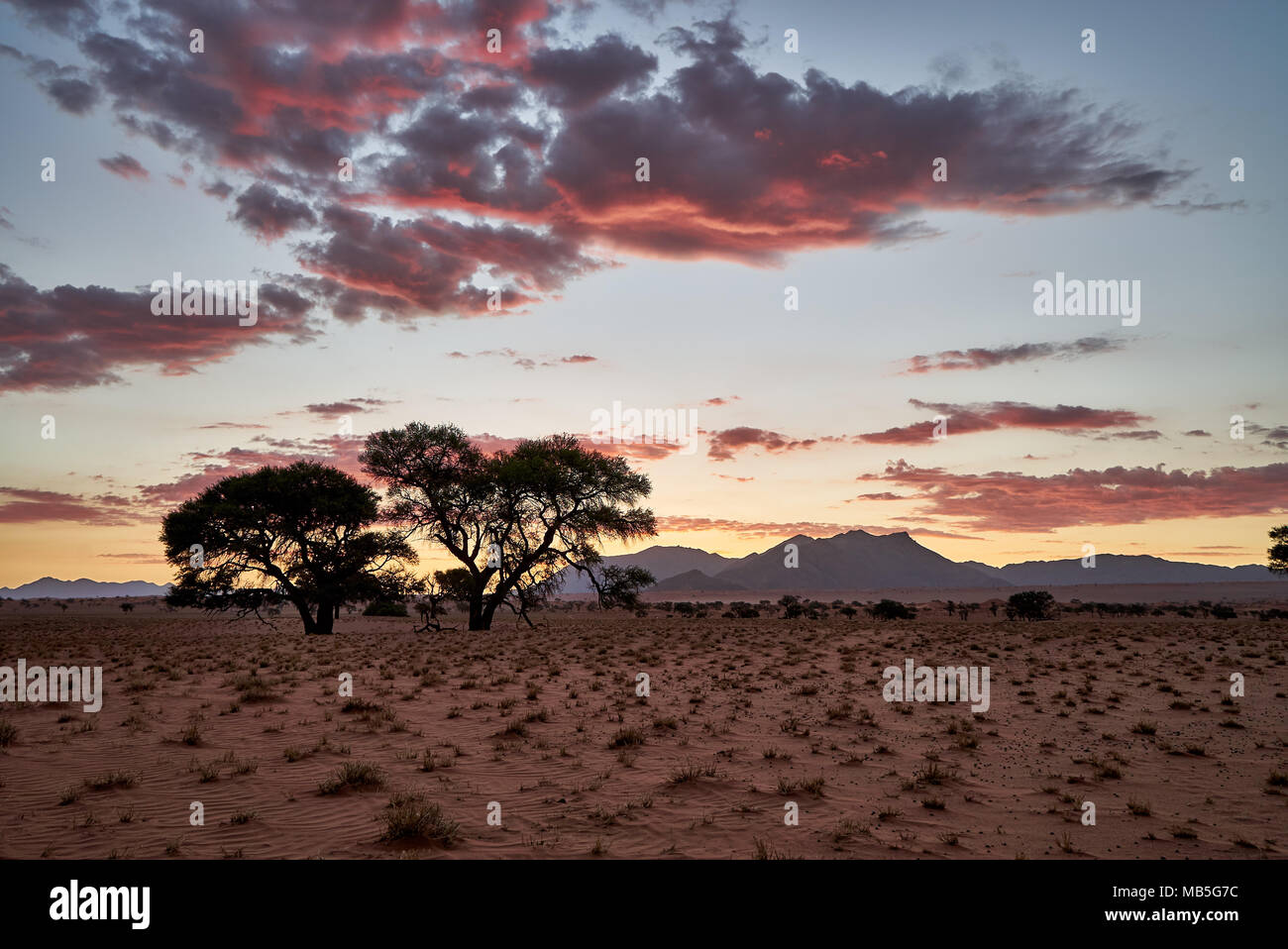 Coucher de soleil sur paysage déserté de NamibRand Nature Reserve, Namibie, Afrique Banque D'Images