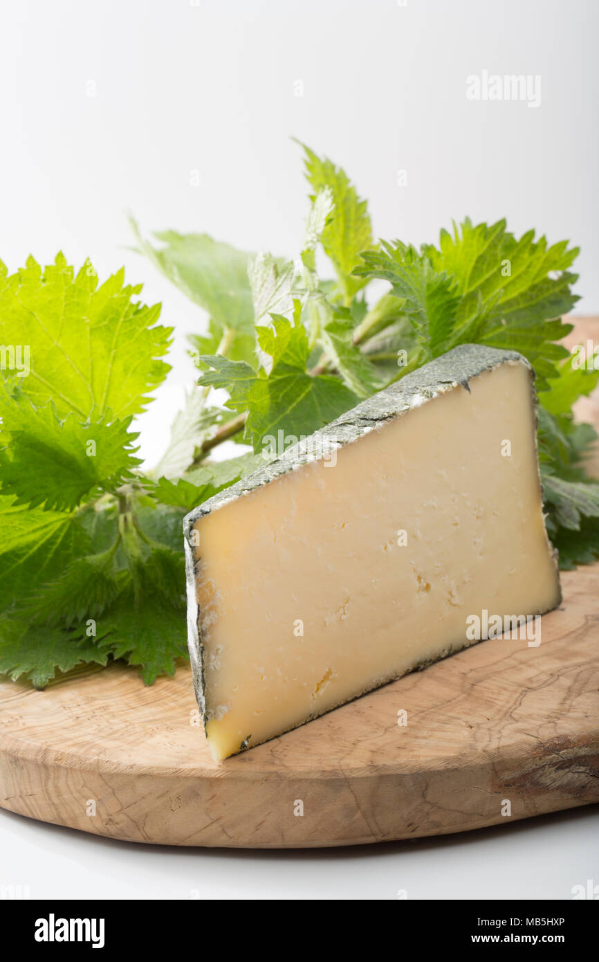 Cornish Yarg est un fromage au lait de vache et est enveloppée d'orties avant son échéance. On voit ici sur une planche avec des orties. UK Banque D'Images