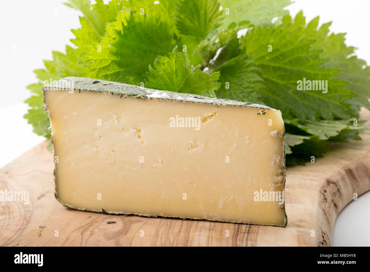 Cornish Yarg est un fromage au lait de vache et est enveloppée d'orties avant son échéance. On voit ici sur une planche avec des orties. UK Banque D'Images