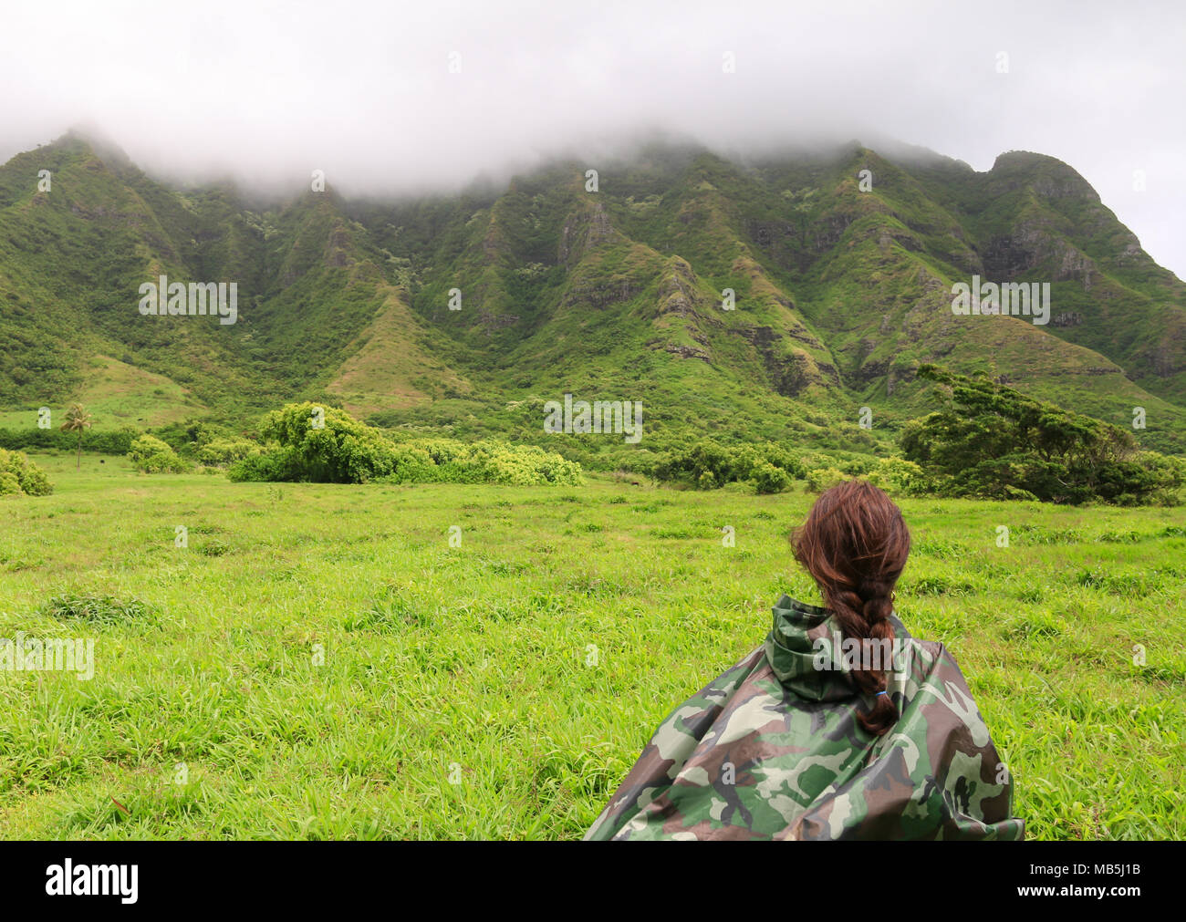 Vue arrière de l'aventurier en ranch de Kualoa femelle, New York Banque D'Images
