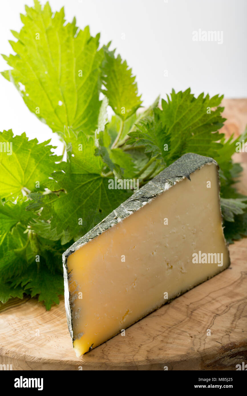 Cornish Yarg est un fromage au lait de vache et est enveloppée d'orties avant son échéance. On voit ici sur une planche avec des orties. UK Banque D'Images