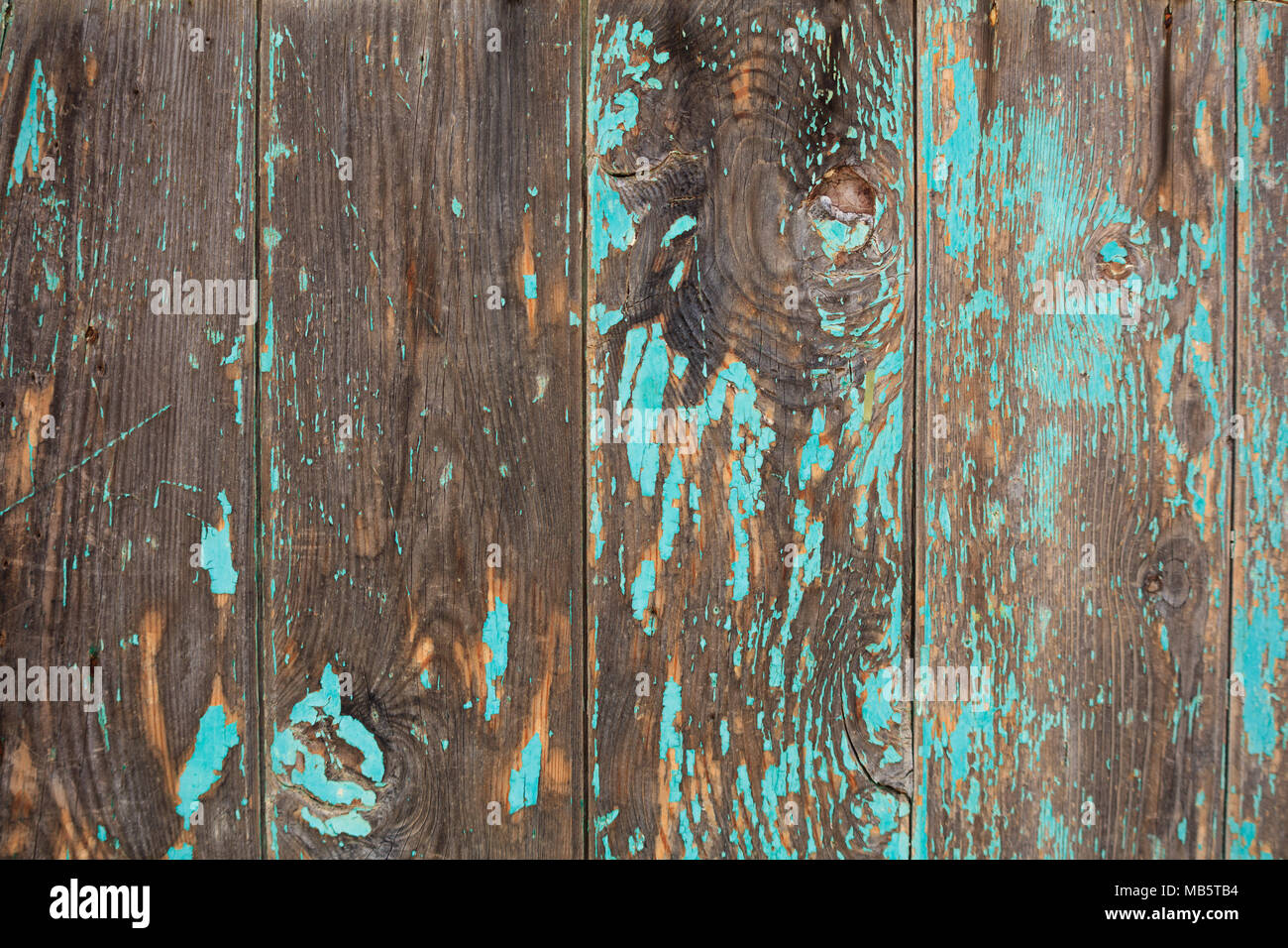 En bois peint patiné vert pâle bandes arrière-plan, vue rapprochée, les bandes verticales Banque D'Images
