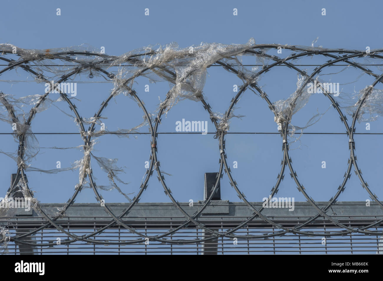 Barbelés enroulés sur laquelle emballage plastique est devenu le piège. Métaphore de la "guerre sur le plastique", ban de plastique. Banque D'Images