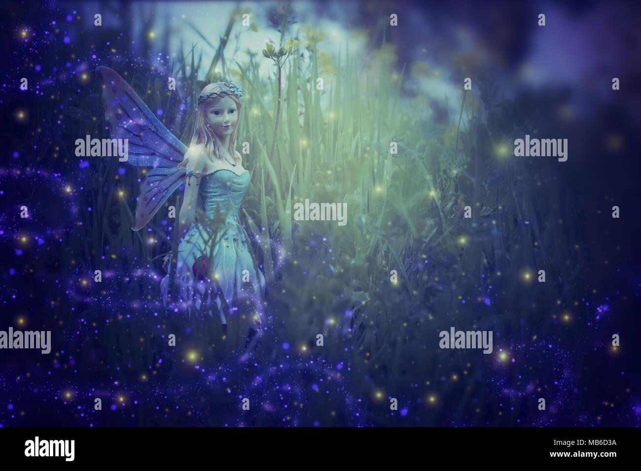 Image De Petite Fee Magique Dans La Foret De Nuit Photo Stock Alamy Image De Petite Fee Magique Dans La Foret De Nuit Photo Stock Alamy