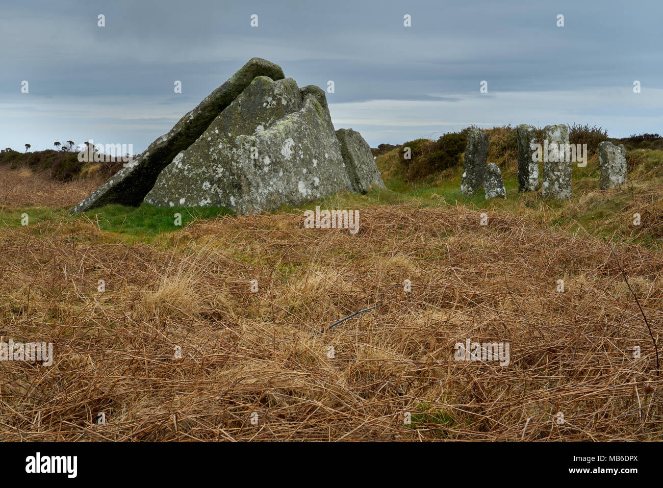 Zennor Quoit. Sépulture néolithique à Cornwall, la pierre de droite sont d'un agriculteurs géorgiens tentent de construire un enclos Banque D'Images