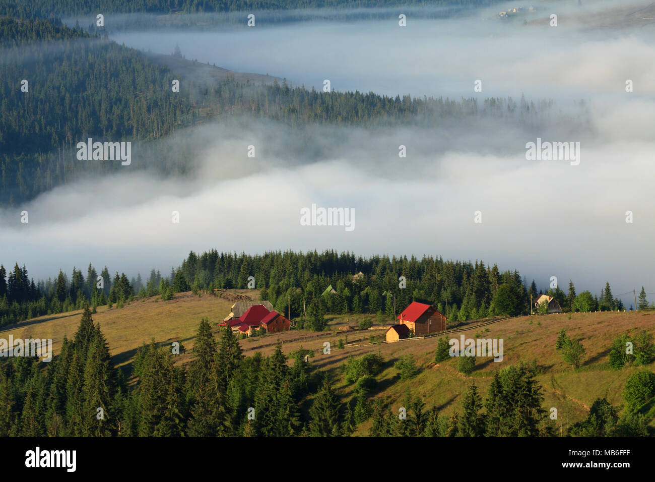Un paisible village dans une vallée couverte de brouillard. Les Montagnes Apuseni, région des Carpates, en Roumanie. Banque D'Images