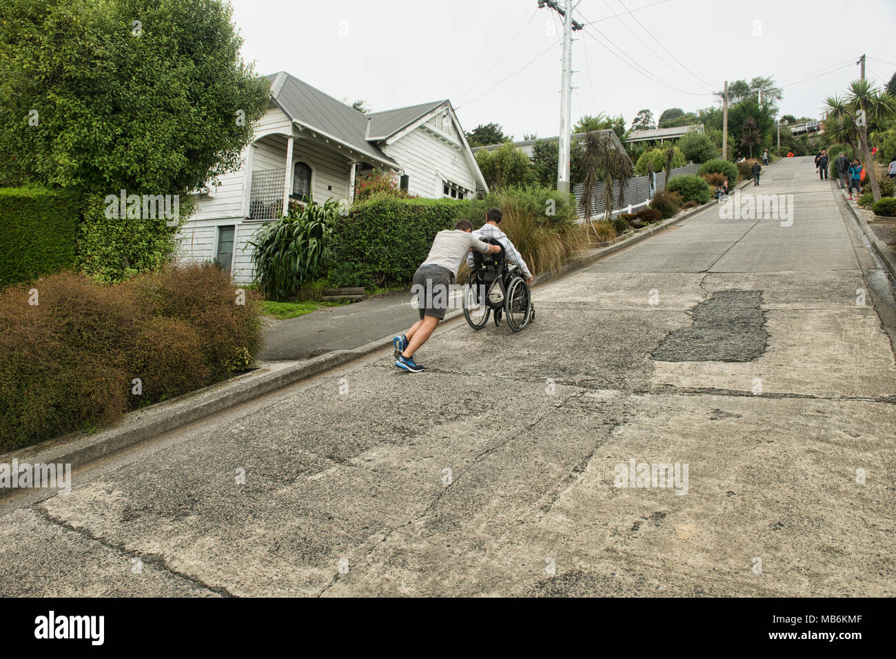 En poussant son ami mate dans un fauteuil roulant jusqu'Baldwin Street, la rue la plus raide du monde, Dunedin, Nouvelle-Zélande Banque D'Images