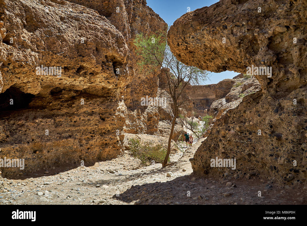 Canyon de Sesriem avec la rivière Tsauchab, désert du Namib, Namibie, Afrique Banque D'Images