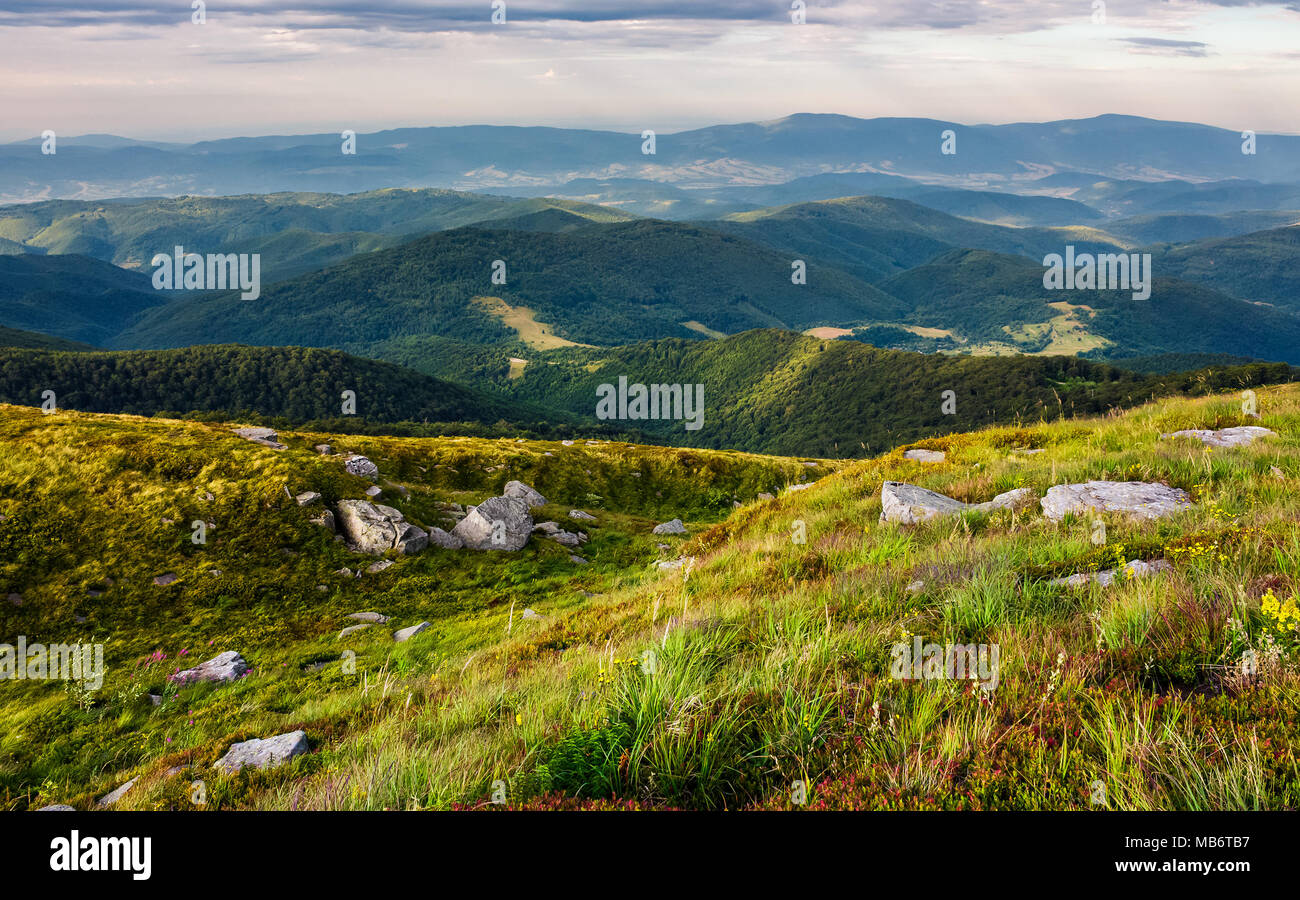 Belle vue des Carpates en elevant vers la lumière. les couleurs magnifiques de l'été dans les montagnes du paysage sur un jour nuageux observé depuis le haut d'une colline. loc Banque D'Images