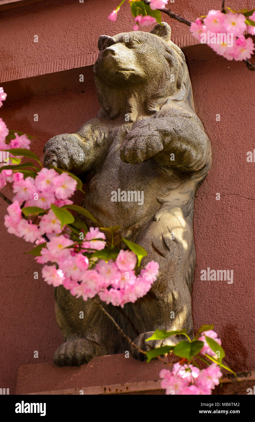 Sculpture ours parmi les fleurs de cerisiers en fleurs. beau fond printemps Banque D'Images