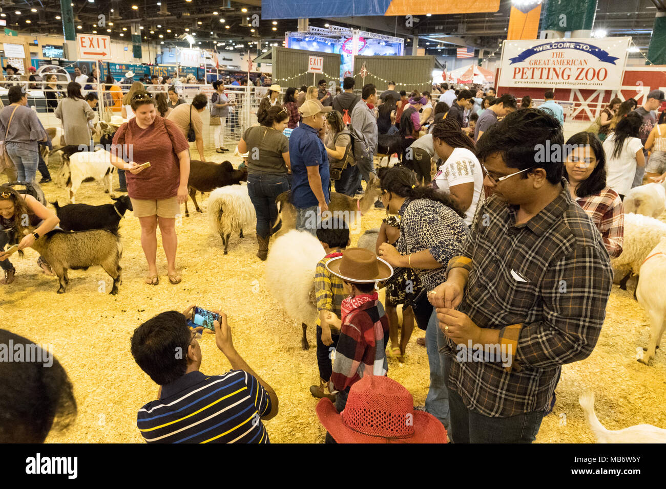 Les parents, les jeunes enfants et les animaux dans le zoo pour enfants, Houston Livestock Show and Rodeo, Houston, Texas USA Banque D'Images