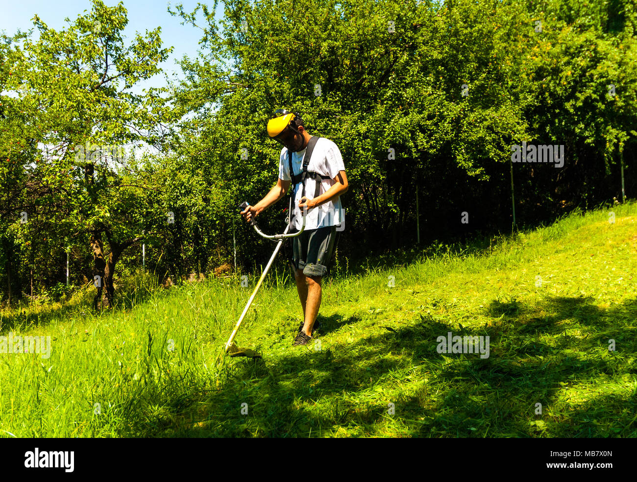 Close up of man mowing vert sauvage pelouse à l'aide de la faucheuse débroussailleuse ou chaîne d'outils de jardin tondeuse à gazon. Jardin de saison de tonte et nettoyage concept. Banque D'Images