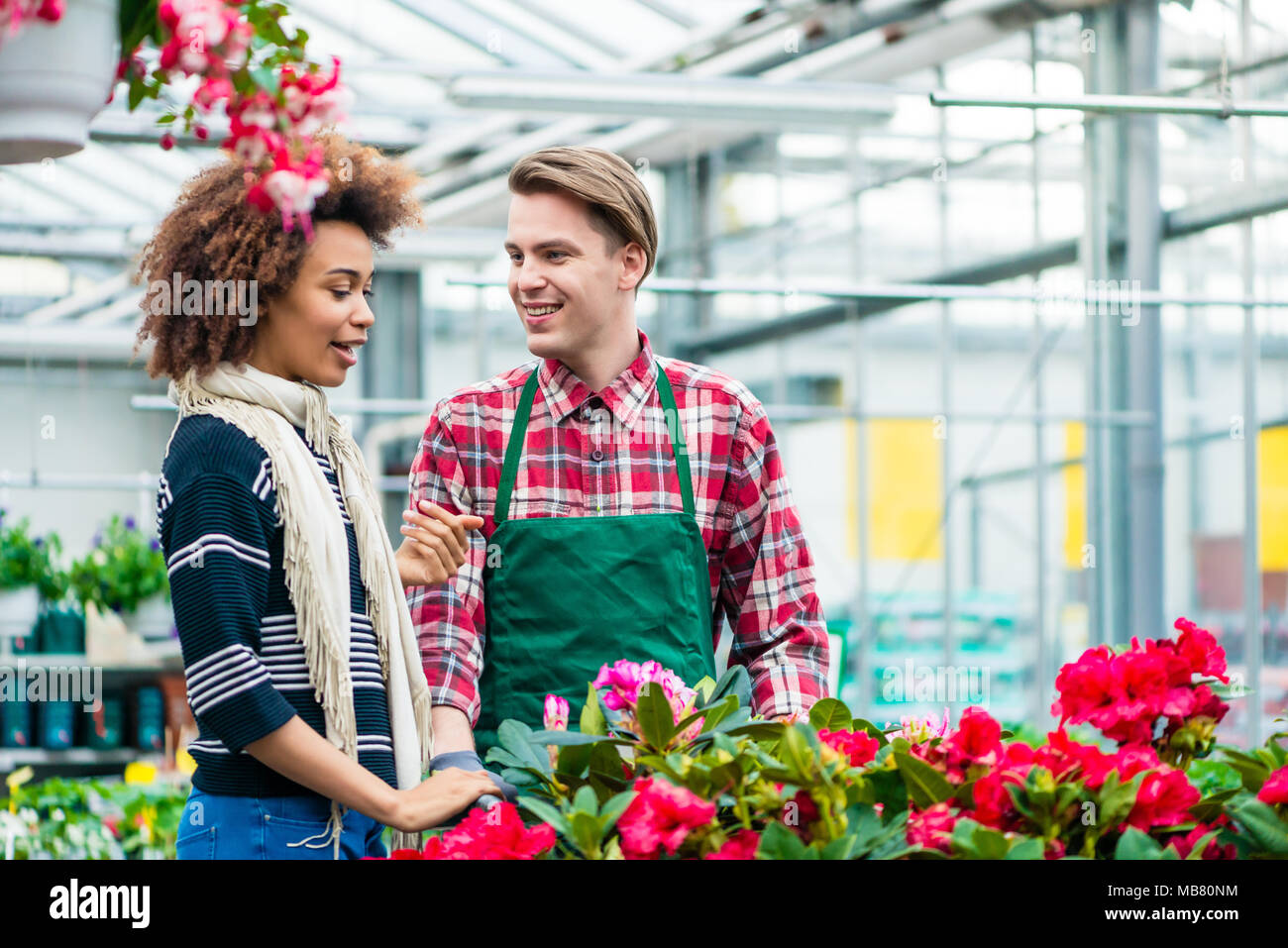 Belle jeune femme parle avec un employé de magasin de fleur Banque D'Images