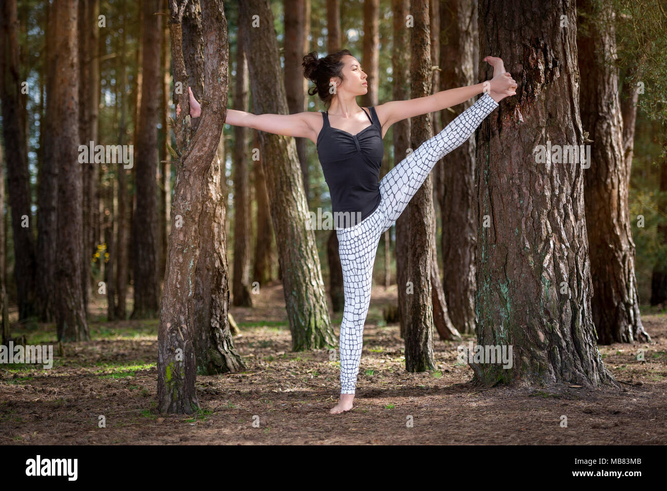 Woman practicing yoga dans une forêt, la main tendue à la posture du gros orteil. Banque D'Images Woman practicing yoga dans une forêt, la main tendue à la posture du gros orteil. Banque D'Images