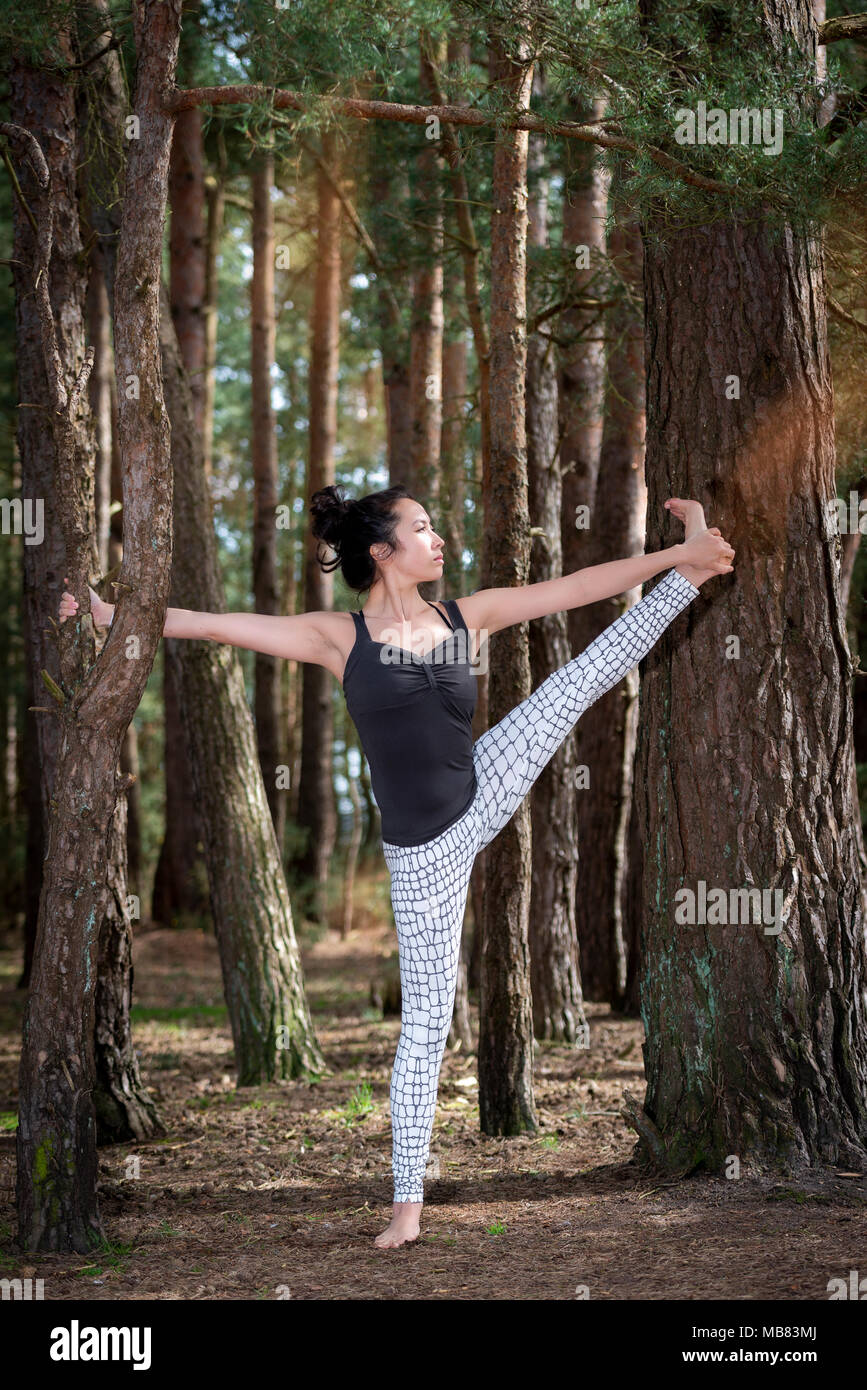 Woman practicing yoga dans une forêt, la main tendue à la posture du gros orteil. Banque D'Images Woman practicing yoga dans une forêt, la main tendue à la posture du gros orteil. Banque D'Images
