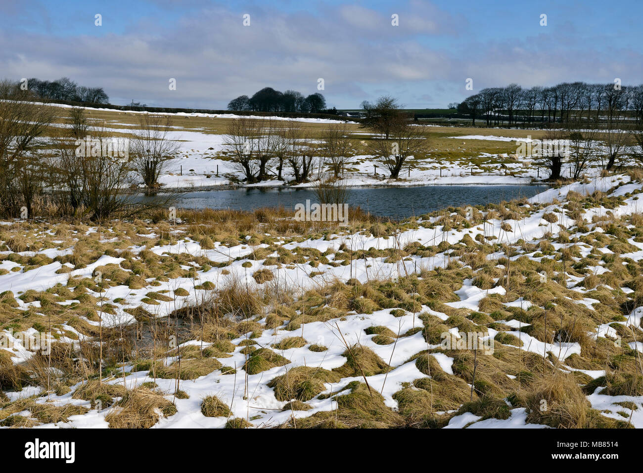 Chartreuse de plomb des étangs dans la neige, collines de Mendip, Somerset Banque D'Images