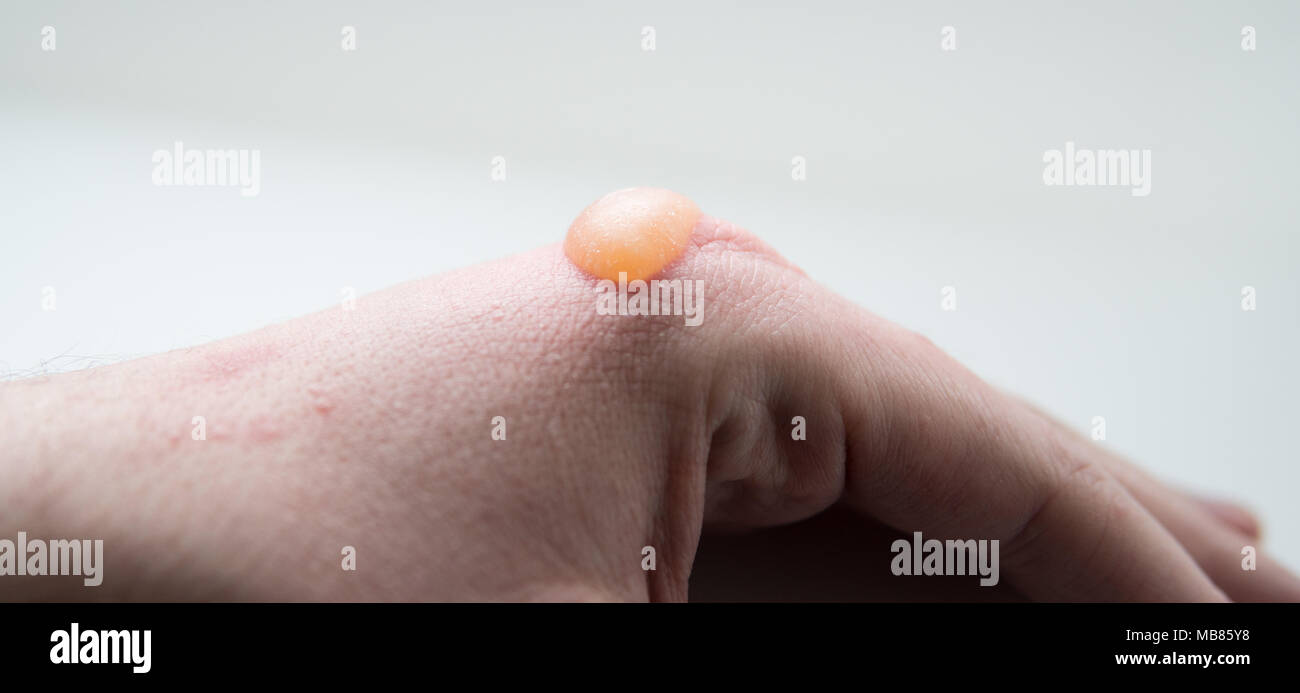Close up de grande ampoule sur une main Banque D'Images