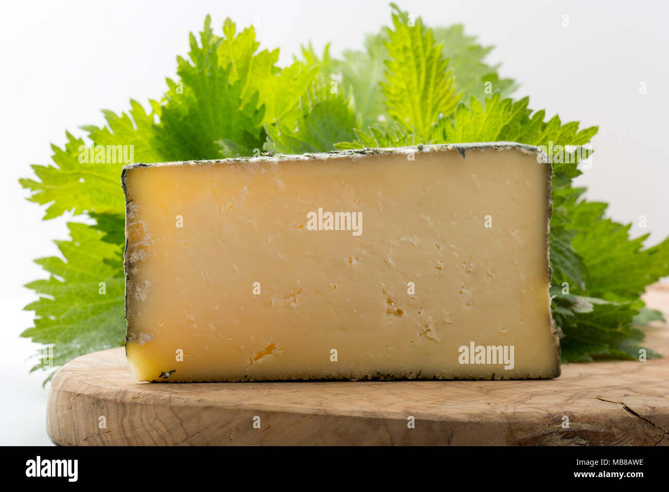Cornish Yarg est un fromage au lait de vache et est enveloppée d'orties avant son échéance. On voit ici sur une planche avec des orties. UK Banque D'Images