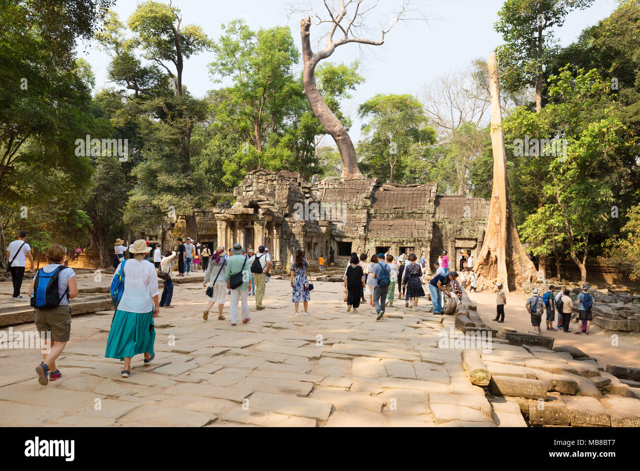 Cambodge les touristes à Ta Prohm temple Angkor, site du patrimoine mondial de l'Asie, Cambodge Banque D'Images