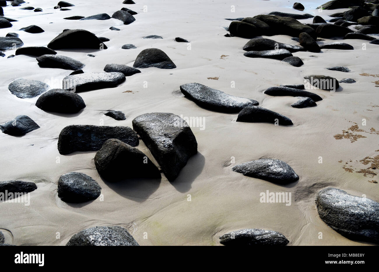 Rochers noirs contrastant contre le sable de plage dans NSW Australie Banque D'Images