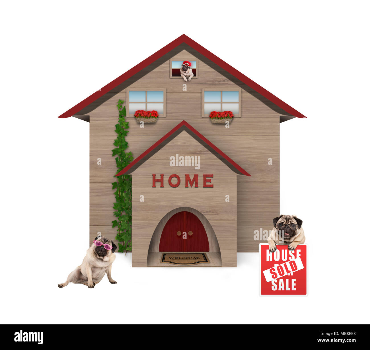 La classe moyenne moyenne famille chien pug, assis dans jardin avec maison vendue signe à nouveau la maison, isolé sur fond blanc Banque D'Images