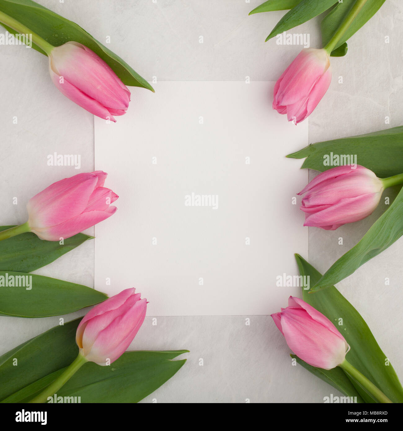Anniversaire De Mariage Ou Une Maquette Avec Du Papier Blanc Liste Tulipe Rose Des Fleurs Sur Fond Bleu Vue D En Haut Belle Femme Carte Journaliere Mise A Plat Photo Stock Alamy Anniversaire De Mariage Ou Une Maquette Avec Du Papier Blanc Liste Tulipe Rose Des Fleurs Sur Fond Bleu Vue D En Haut Belle Femme Carte Journaliere Mise A Plat Photo Stock Alamy