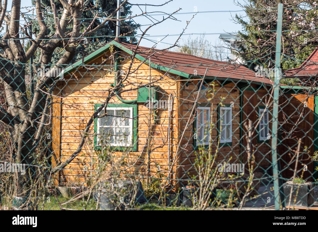 Petite cabane en bois avec la peinture verte en arrière-cour, hobby shed Banque D'Images