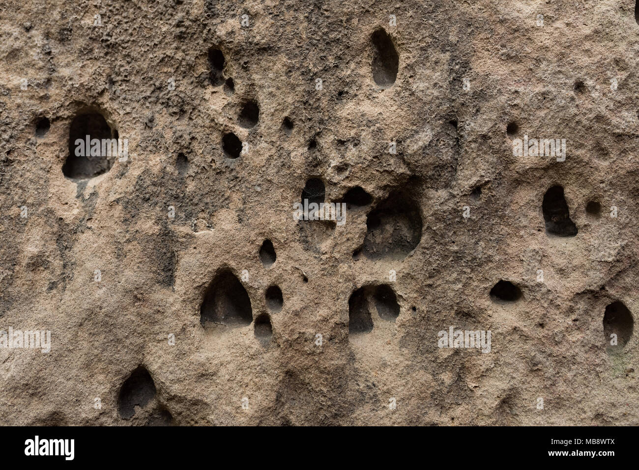 Surface du sable roche avec petits et gros trous faits par l'érosion Banque D'Images