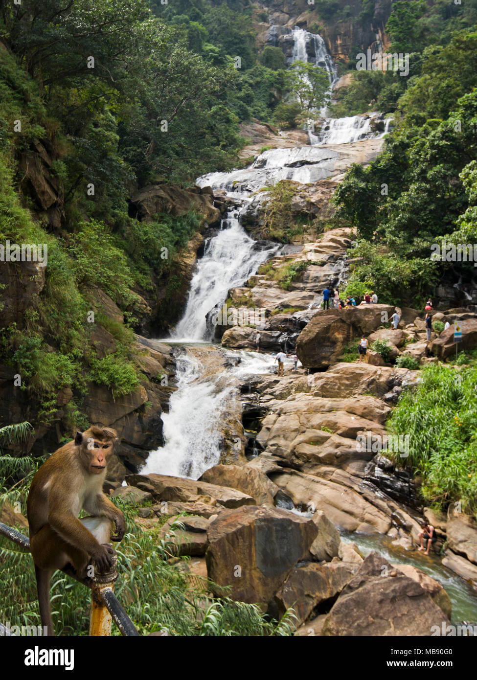 Vue verticale de Ravana Falls dans Ella, Sri Lanka. Banque D'Images