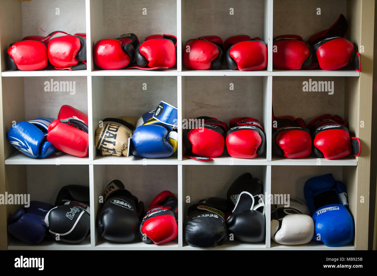 Gants de boxe colorés différents stockés sur des étagères dans un gymnase de boxe. Banque D'Images