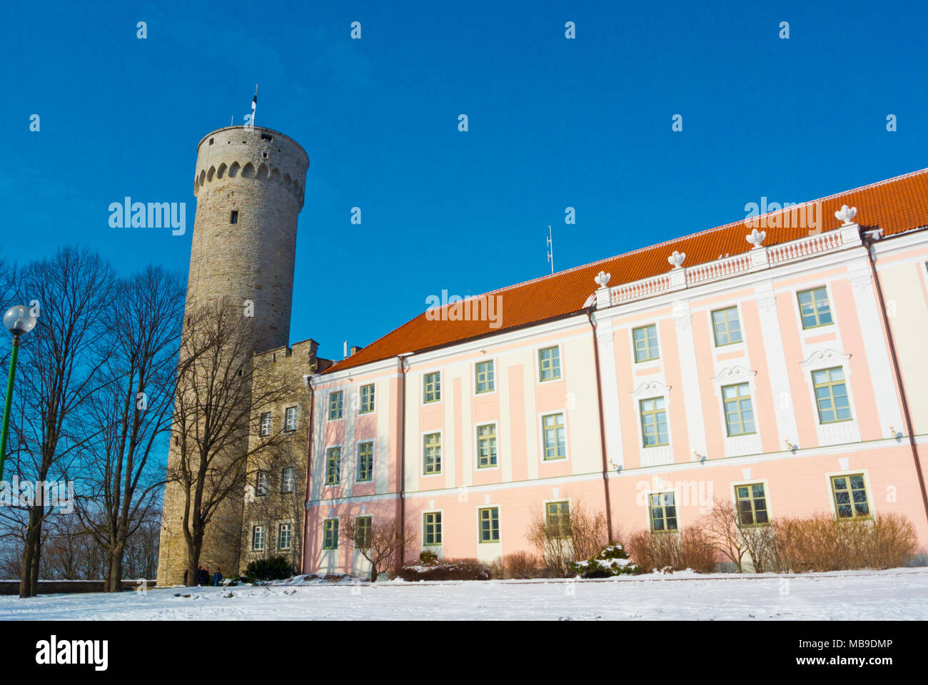 Pikk Hermann, le Riigikogu assemblée nationale, Toompea, Tallinn, Estonie Banque D'Images