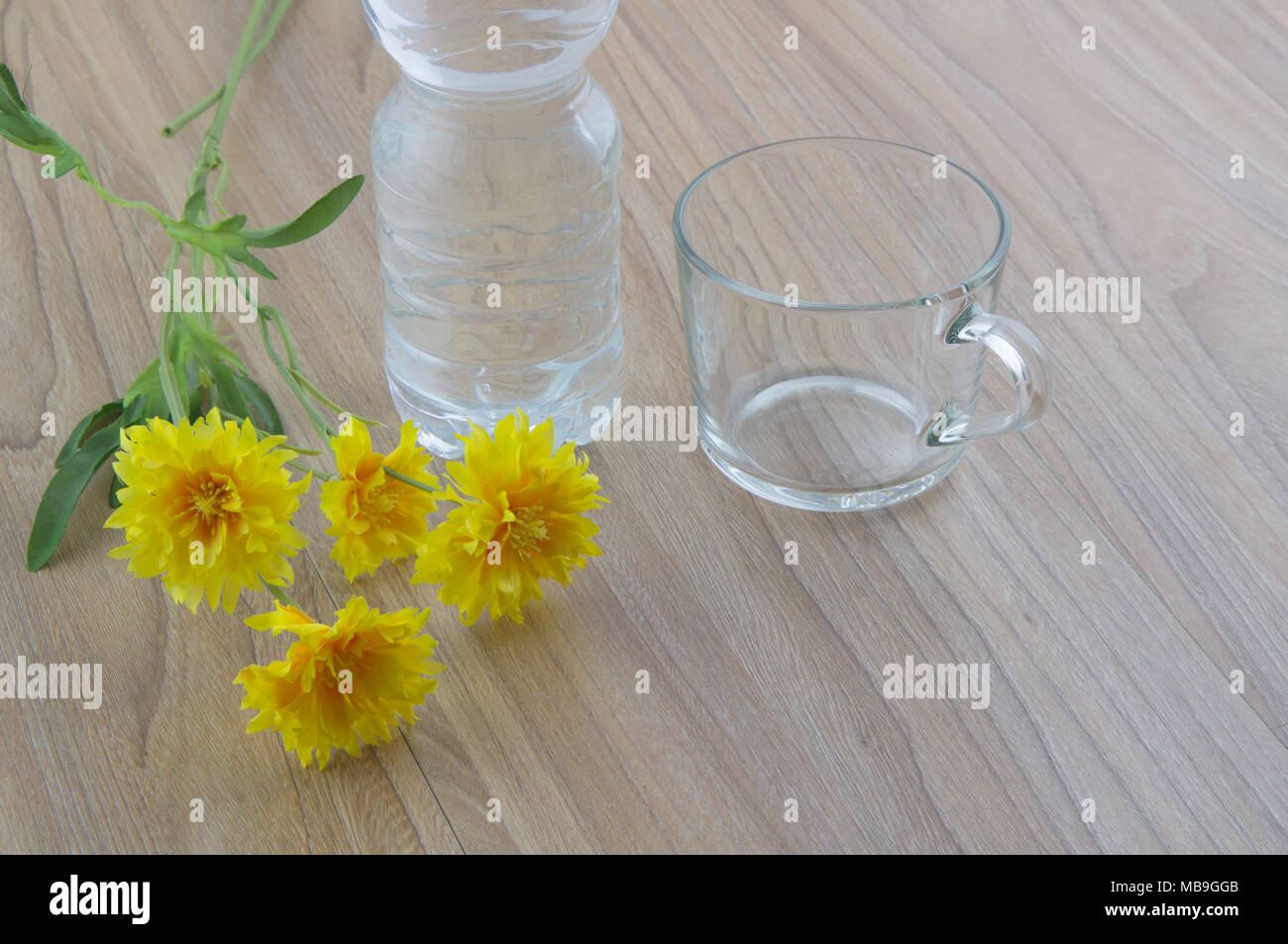 Photo en gros plan d'un verre d'eau vide, bouteille d'eau et de fleurs sur la table en bois naturel. Banque D'Images