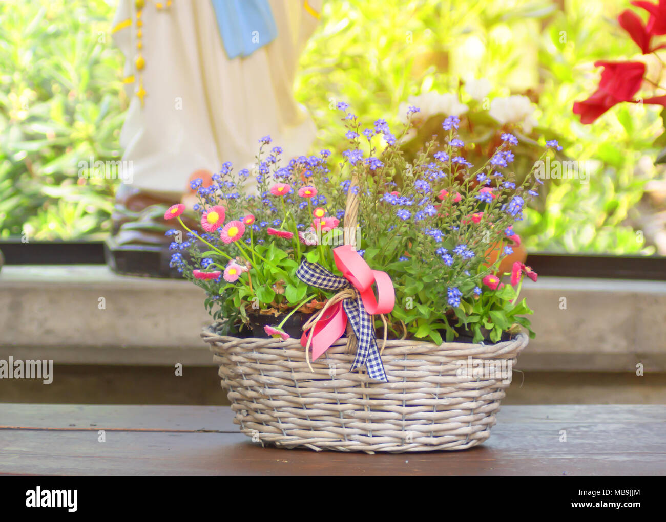 Panier en osier avec bouquet de fleurs magnifiques au printemps, faible  profondeur de champ soleil Photo Stock - Alamy