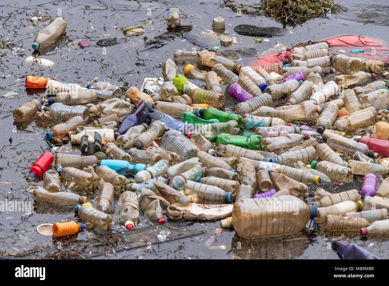 Les bouteilles en plastique à usage unique des déchets vu flottant dans l'eau à la baie de Cardiff, Pays de Galles, Royaume-Uni. Banque D'Images