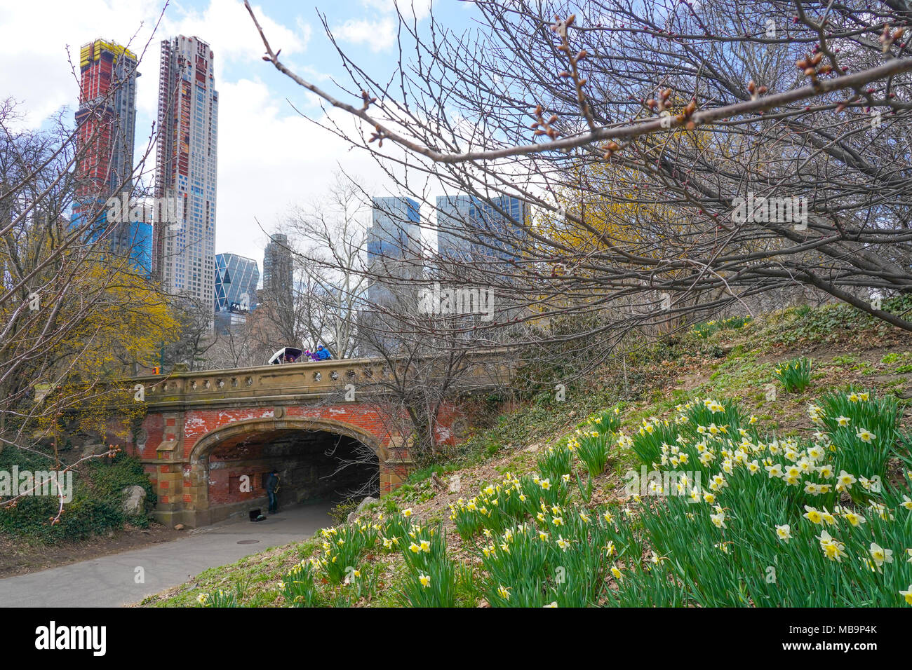 New York, USA. 8 avril, 2018. Temps de printemps dans Central Park, New York. Date de la photo : Le Dimanche 8 Avril, 2018. Photo : Roger Garfield/Alamy Entertainment Crédit : Roger Garfield/Alamy Live News Banque D'Images