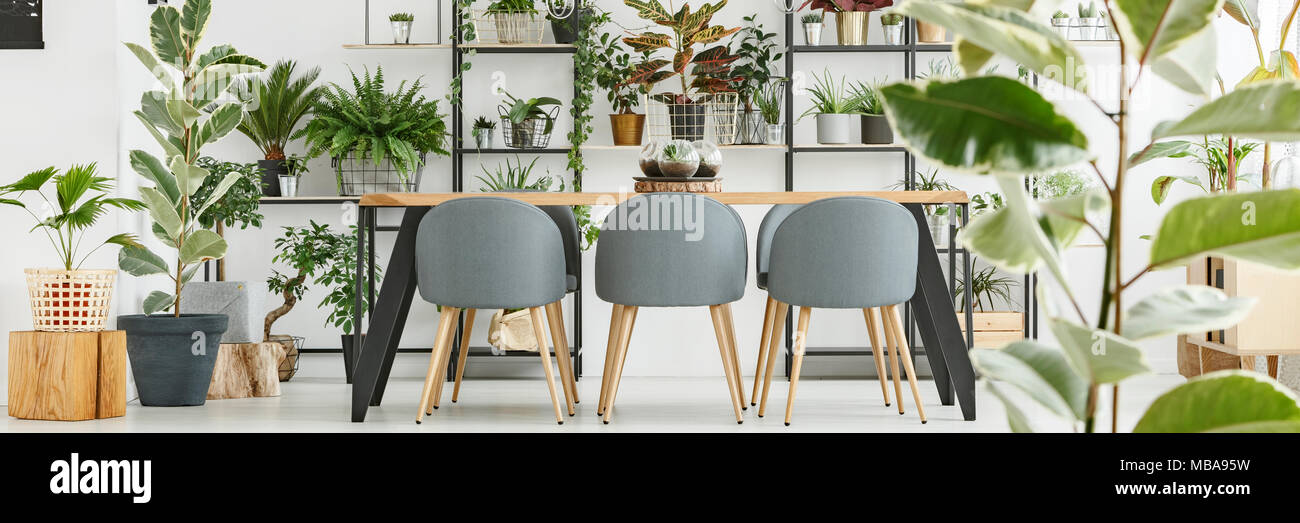 L\'intérieur blanc salle à manger avec table en bois, chaises gris et ... L\'intérieur blanc salle à manger avec table en bois, chaises gris et ...