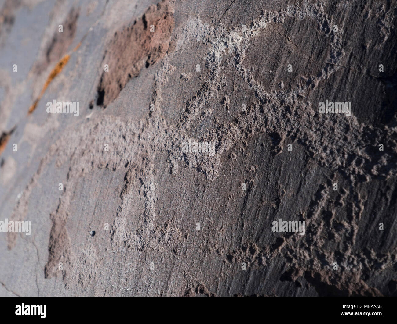 Pierres de cerfs et des pétroglyphes d'Asie centrale Banque D'Images
