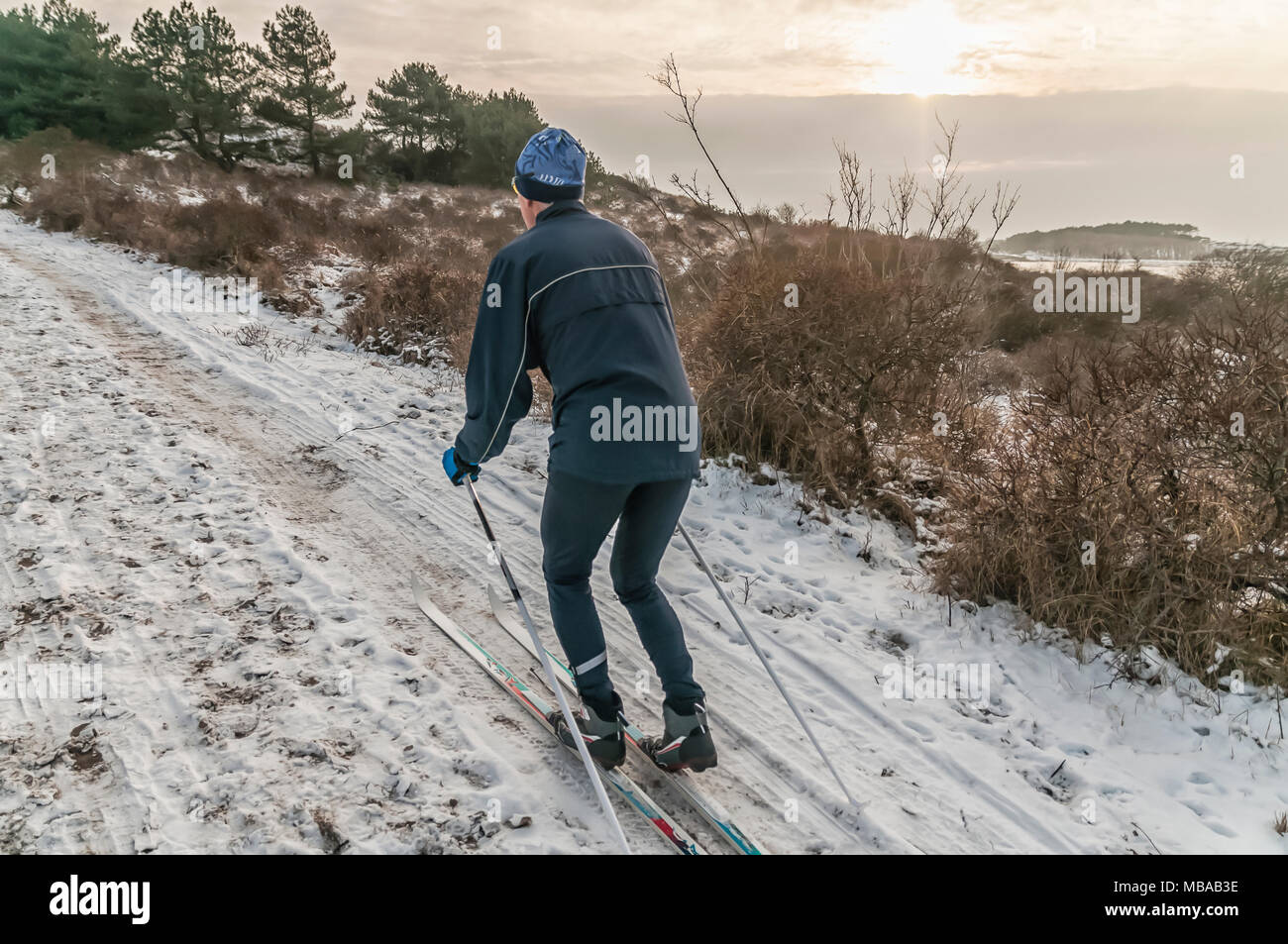 Une personne du sexe masculin est le ski dans la forêt Banque D'Images