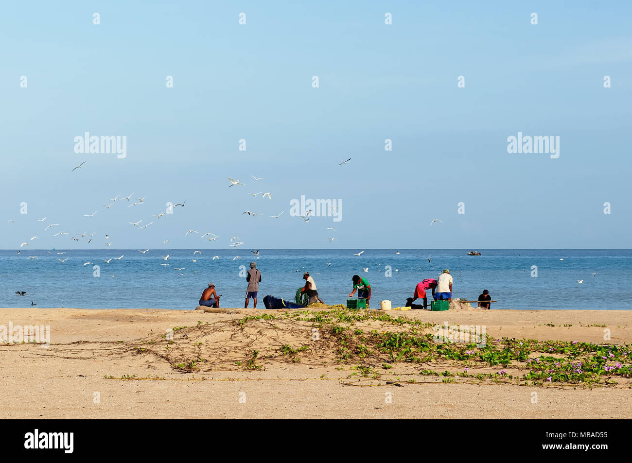 CAMARONES, COLOMBIE - 10 octobre 2012 : pas de poisson des pêcheurs la sélection de la plage de la mer des Caraïbes en Colombie dans les environs de la ville de Riohacha. Banque D'Images