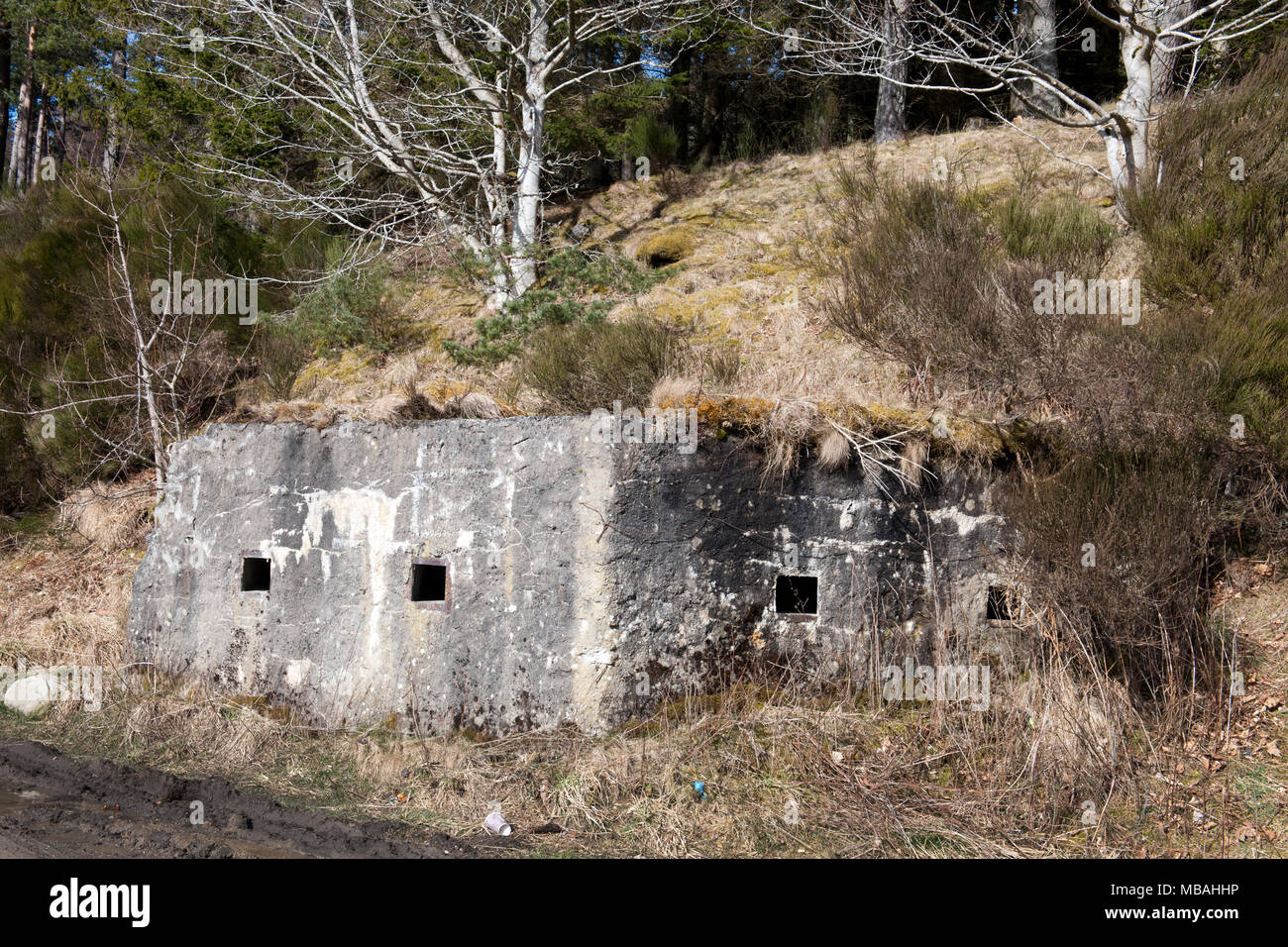 World War 2 défensive béton comprimé fort à pont à Buchaam, Strathdon, Aberdeenshire, Scotland, UK Banque D'Images