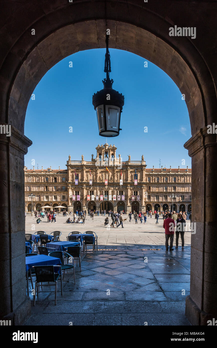 Plaza Mayor, Salamanque, Castille et Leon, Espagne Banque D'Images