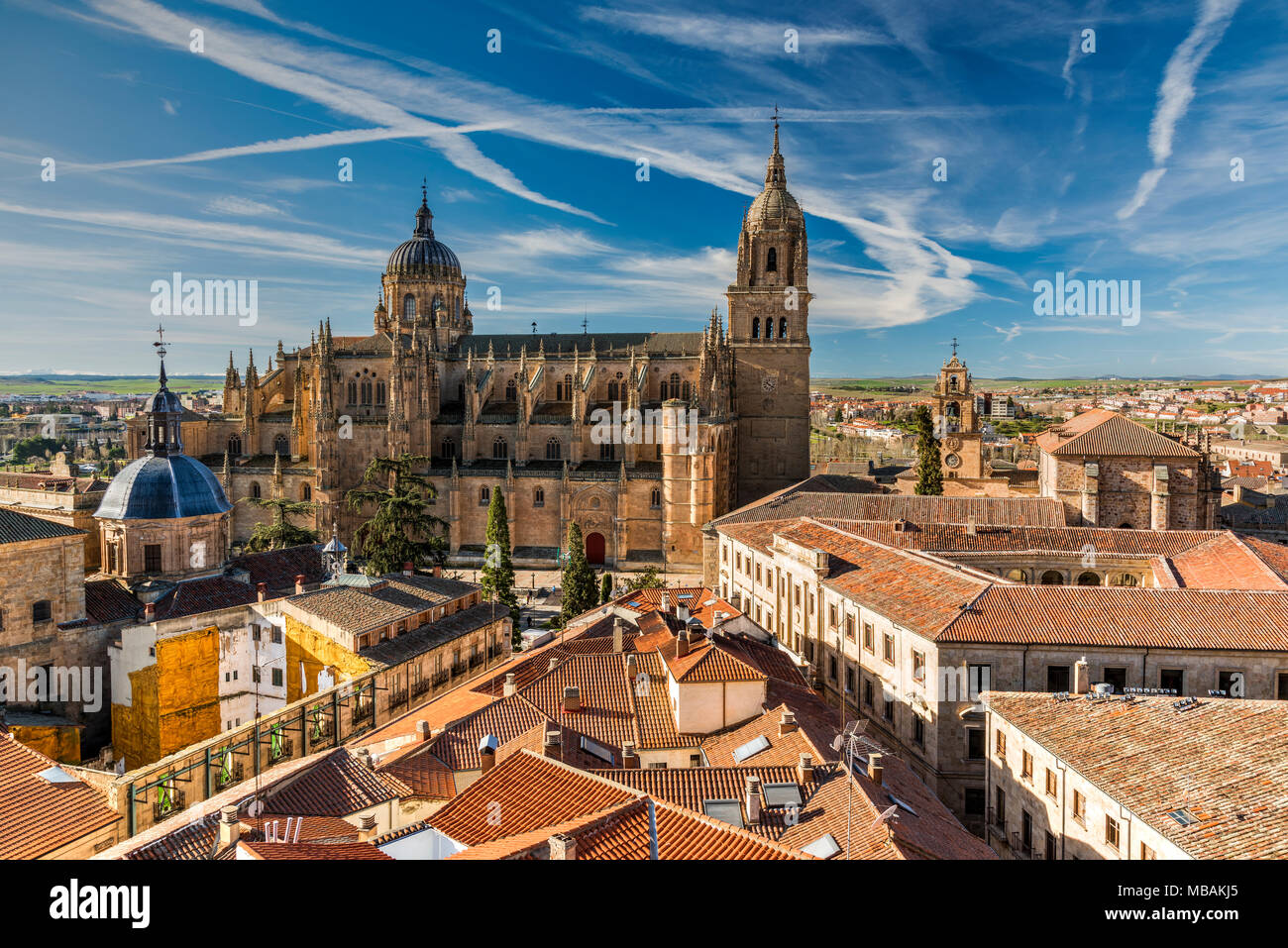 Sur les toits de la ville avec la cathédrale en arrière-plan, Salamanque, Castille et Leon, Espagne Banque D'Images