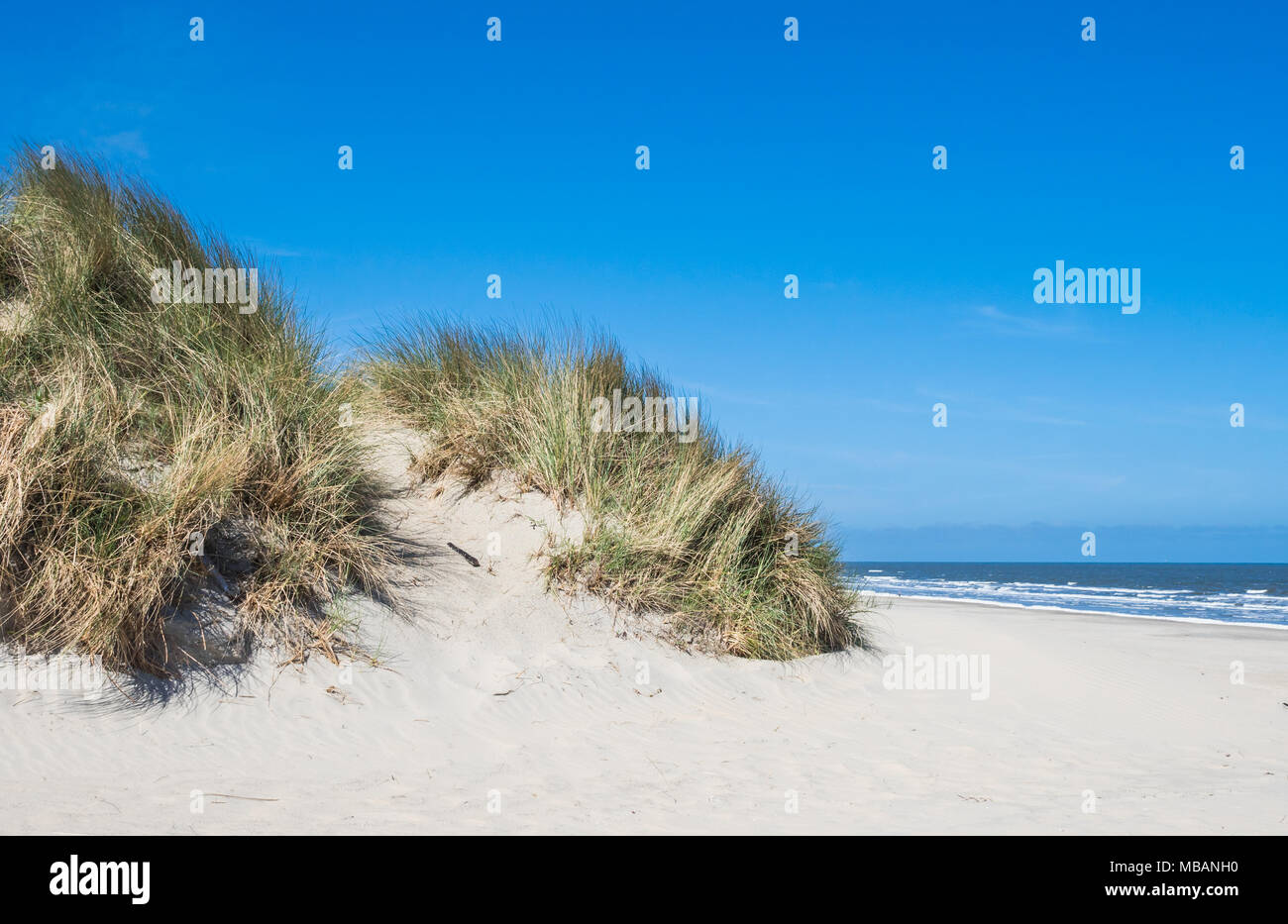 Vue sur les dunes d'Ameland, Holland Banque D'Images