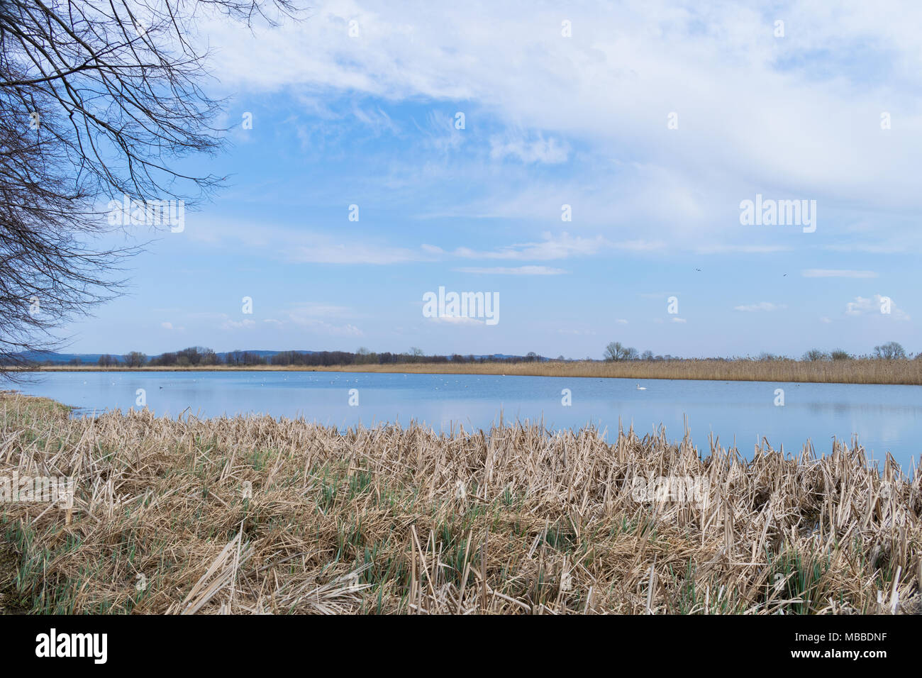 Natura 2000, Zator, Pologne, le 10 avril 2018. Le domaine de la nature est complètement protégé contre la civilisation contemporaine dans le cadre du programme Natura 2000. Un beau matin ensoleillé. La nature est de se réveiller en pleine floraison. Salon du silence des bruits de la ville et le bruit. Credit : w124merc / Alamy Live News Banque D'Images